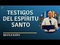 Testigos del Espíritu Santo