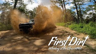 First Dirt: Wheeling our Bronco at the Citrus WMA