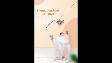 Simulation Bird Interactive Cat Toy Funny Feather Bird With Bell Cat Stick Toy  Cat Supplies