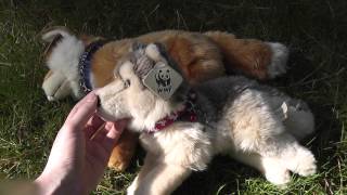 Review Wwf Plush Fox And Wolf Video For Crywolf