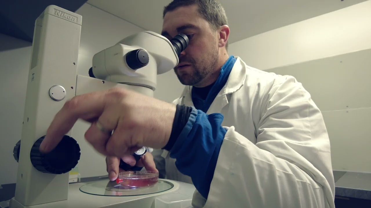 CONNEXYON - PRESENTATION DE LA RECOLTE EMBRYONNAIRE