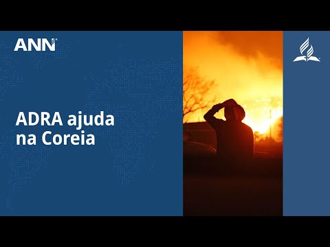 O pior incêndio florestal da Coreia do Sul
