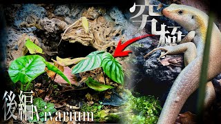 Zoo-quality vivarium!? I made the ultimate vivarium for my pet