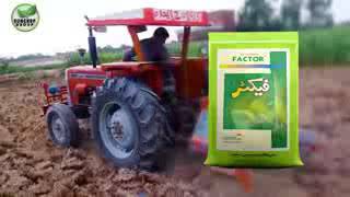 Suncrop Groups Of Pesticides