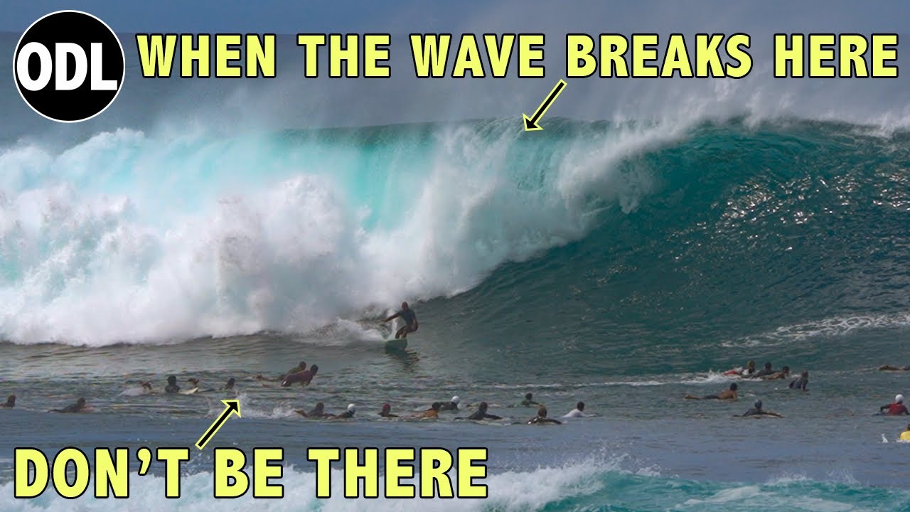 "When The Wave Breaks Here, Don't Be There" - 🐢