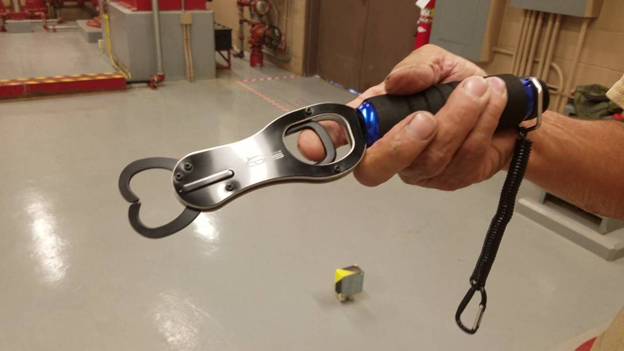 Booms Fish Grabber YouTube