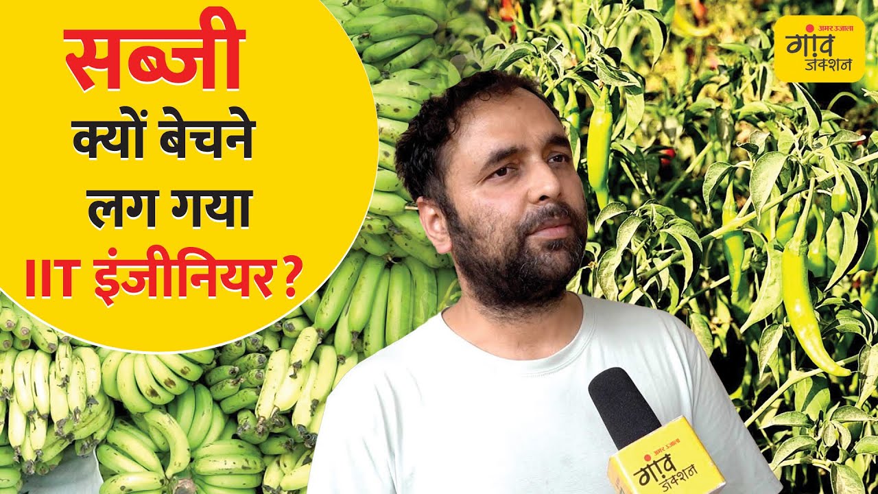 IITian Vegetable Seller :  IIT से इंजीनियरिंग कर बेच रहे सब्जी, अब जापान, रुस को निर्यात की तैयारी