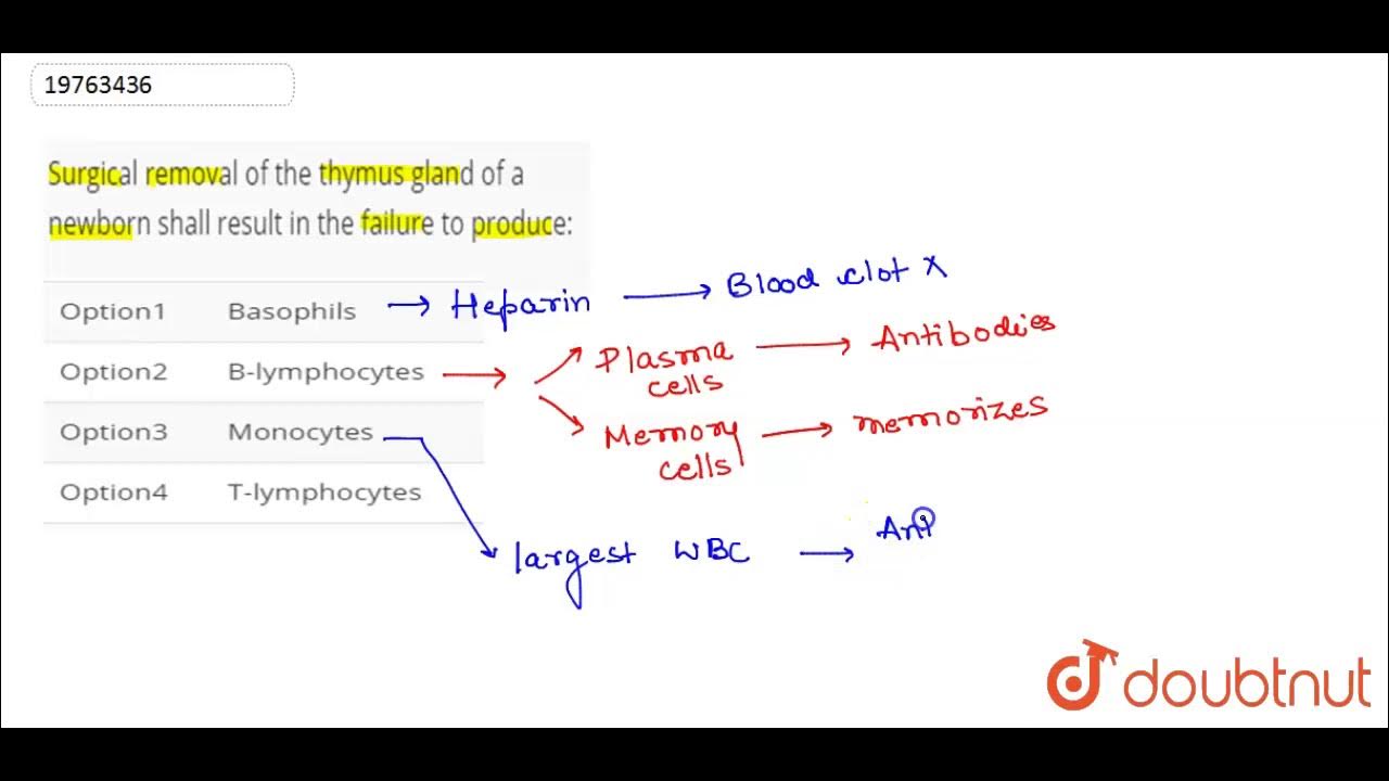 Surgical removal of the thymus gland of a newborn shall result in the