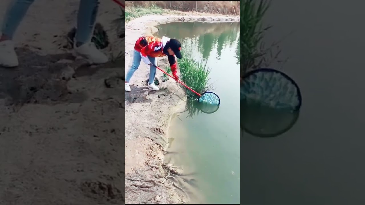 Amazing Catching and Fishing Skills 