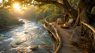 Golden Riverside Treehouse Ambience 🔥 Relaxing River Sounds & Birds Singing