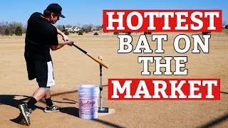 hot bbcor bats