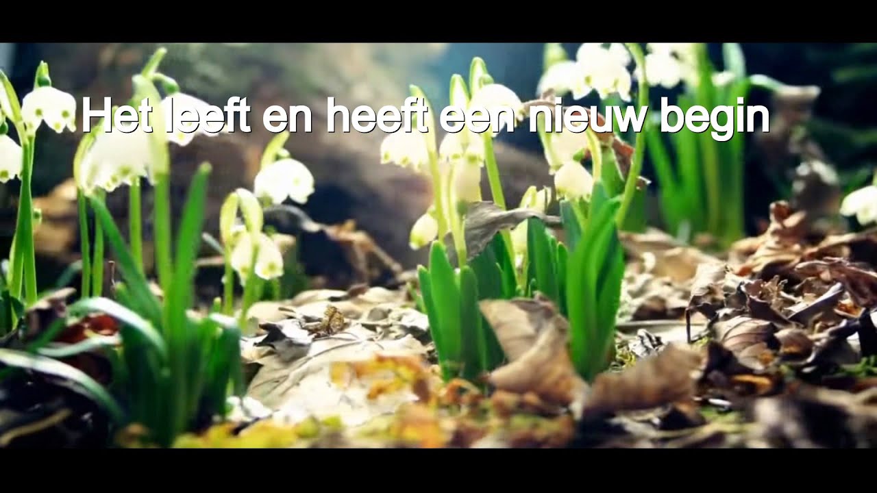 Lied van het nieuwe begin (Pasen) - YouTube