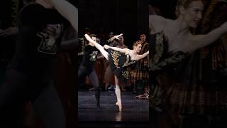 Swan Lakes Famous Black Swan Pas De Deux Odile & Prince Siegfried