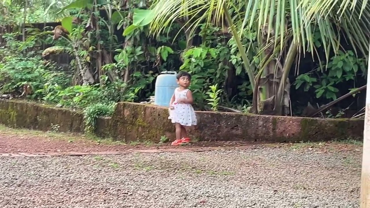 കുഞ്ഞു കുഞ്ഞു സംസാരങ്ങളും കളിയും നിറഞ്ഞൊരു വൈകുന്നേരം❤️🤍