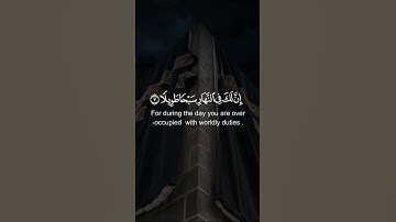 القارئ صالح الانصارى