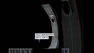 Tesla unveils its new 'flying' car