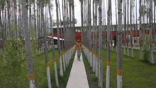 Hooping in the Poplars, Lake Van,Turkey