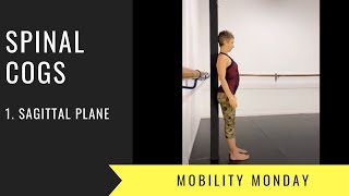 Mobility Monday ; intro to CoGs ( Sgp wall CoG)