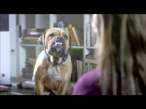 20121231 1705 ORF1 HD Mömax