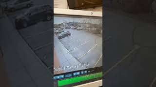 IMG 1876 1