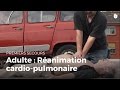 Premiers secours  adulte  ranimation cardiopulmonaire  secourisme