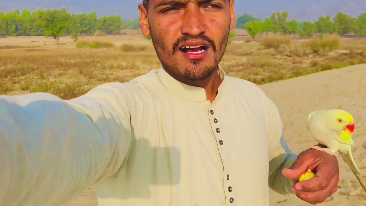 Full long guide you are bad is no back to hand and your friend back your home is very electric