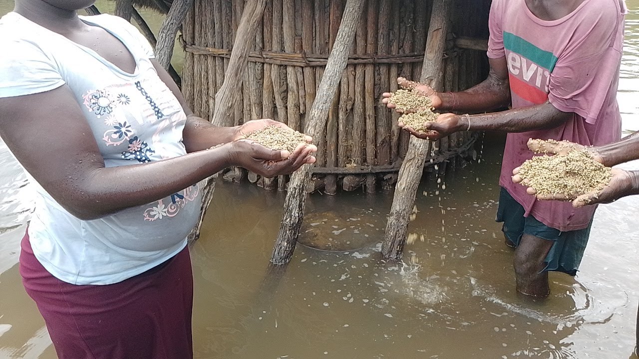 Mozambique floods emergency response