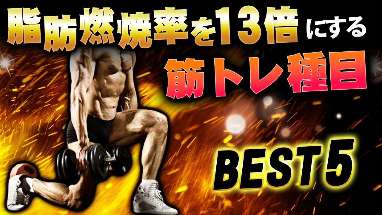 【筋トレ科学】脂肪燃焼率を13倍にする筋トレ種目BEST5　~筋肉を理解し脂肪燃焼率を最大化させる~