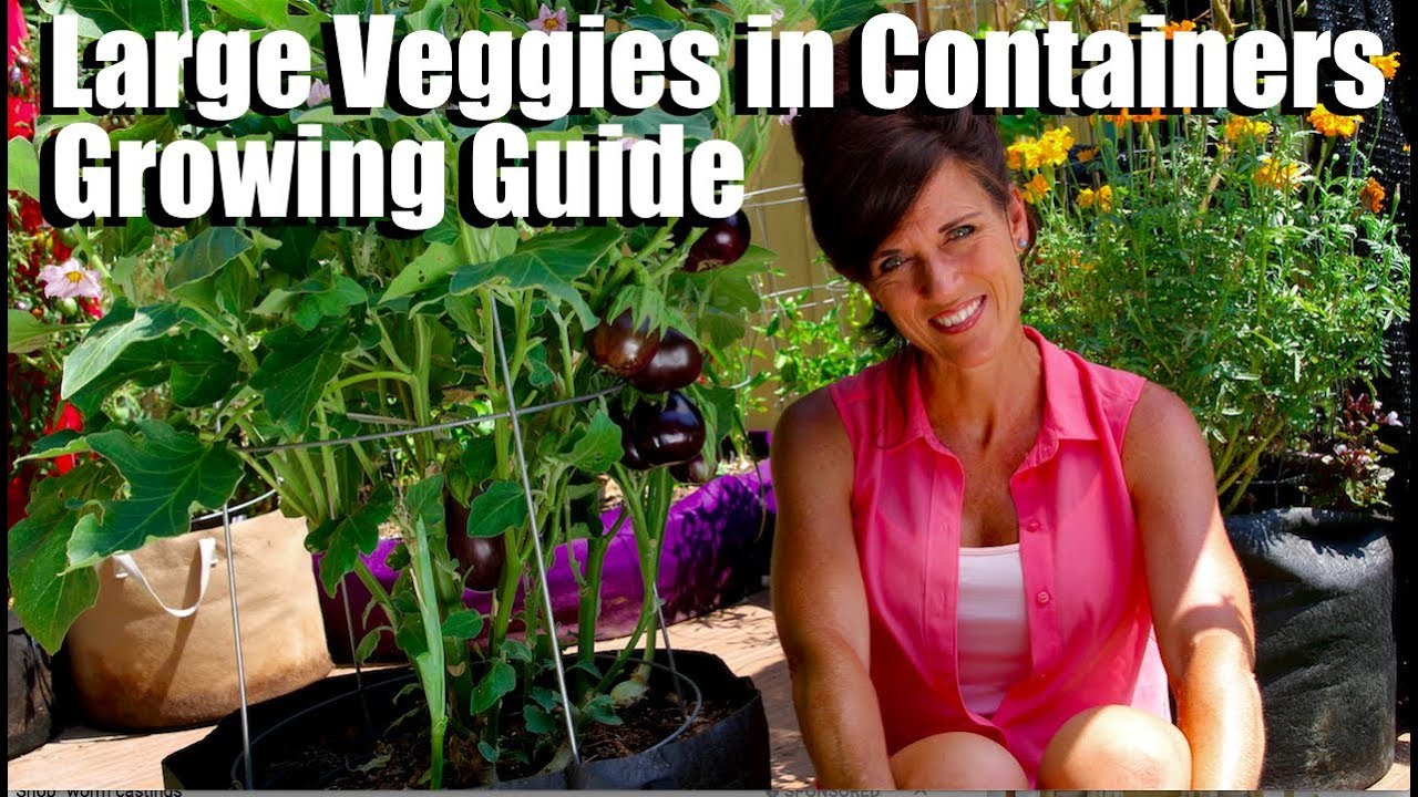 Bigger Really IS Better, Tips on Container Gardening