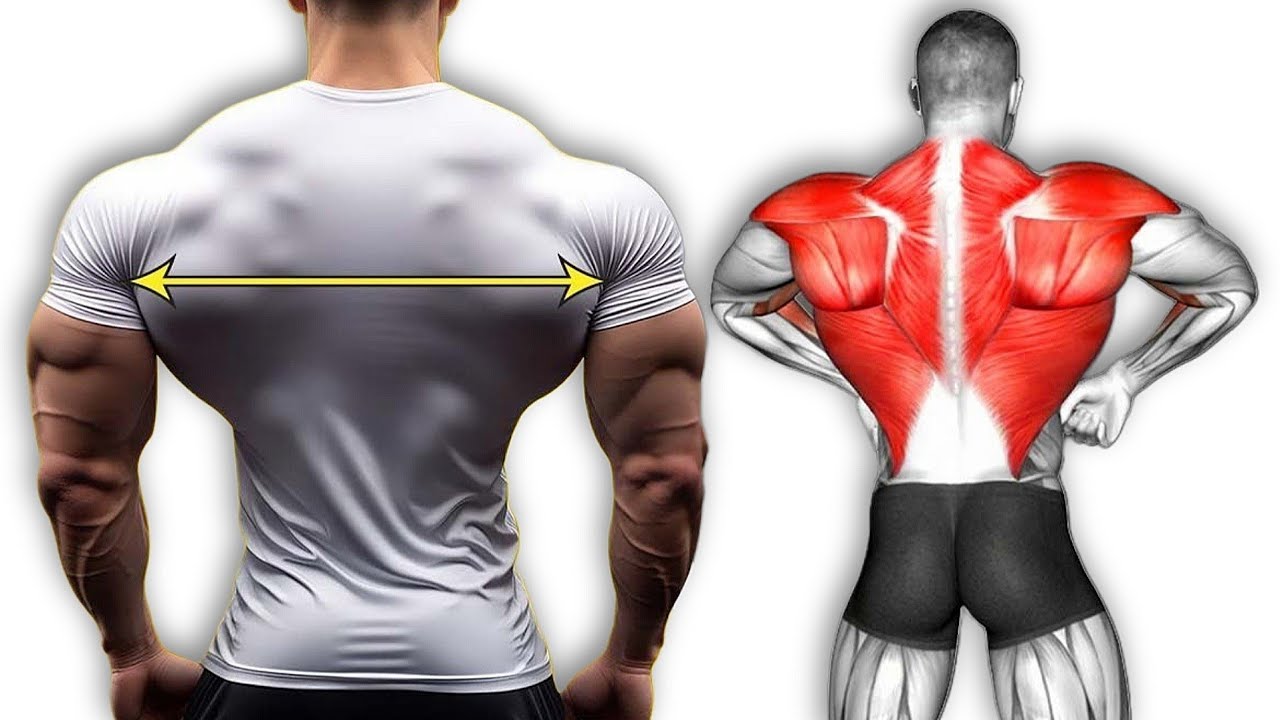 Лучшие упражнения для спины, которые действительно увеличивают объем мышц | Реальная тренировка д...