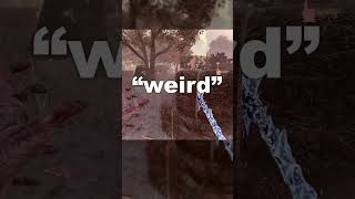 "Weird" Behavior in DBD #dbd #deadbydaylight