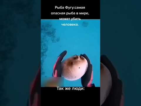 2 июня 2026 г.