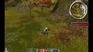 Reforged Pre-searing Taming/Charming a Black Bear - Guild Wars
