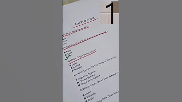 Anatomy Quiz Can you get 6/6?  #shorts #quiz