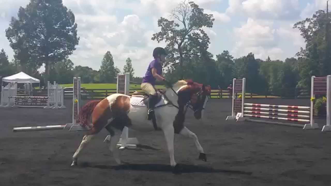 Beginner Novice Stadium Jumping - Poplar Place Farm (August 22, 2015 ...