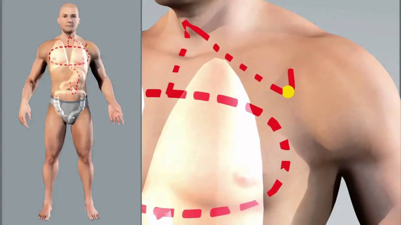 Lung meridian animation