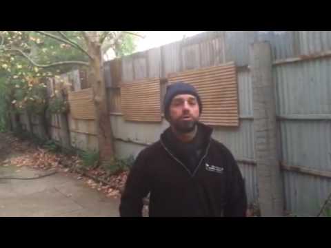 Plane tree pruning part 1