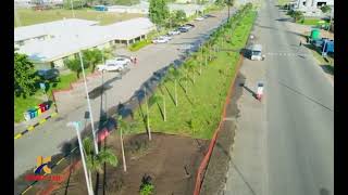 Depois do levantamento técnico, demos início à execução do Projeto de Arborização da Base do Kwanda.