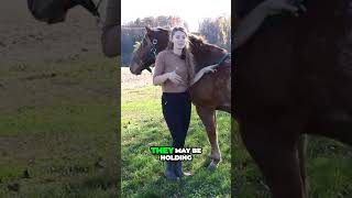 Cracking the Code  Decoding Your Horse's Emotions #equestrian #horse #equestriantraining