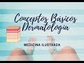 Conceptos Básicos Dermatología