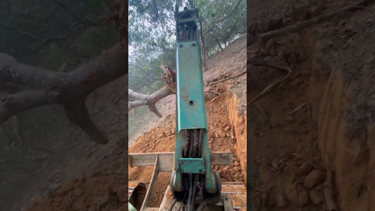 Đào một gốc điều to #xcavator #excavator