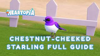 I FINALLY FOUND IT! 🐦 - How to Find the Chestnut-Cheeked Starling in Heartopia?