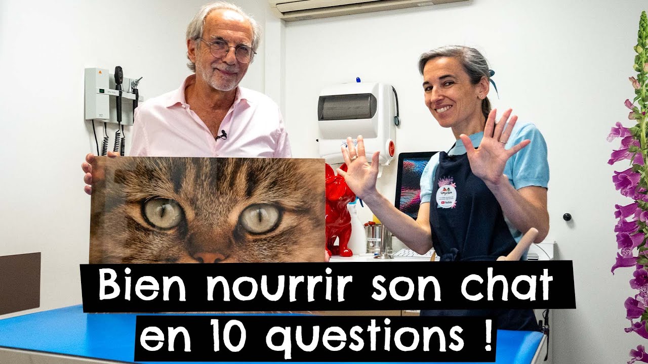 Bien nourrir son chat en 10 questions ! 🐱