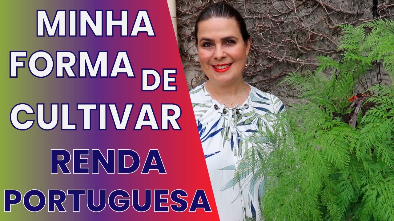 Samambaia Renda  Portuguesa /Grazi Bittencourt