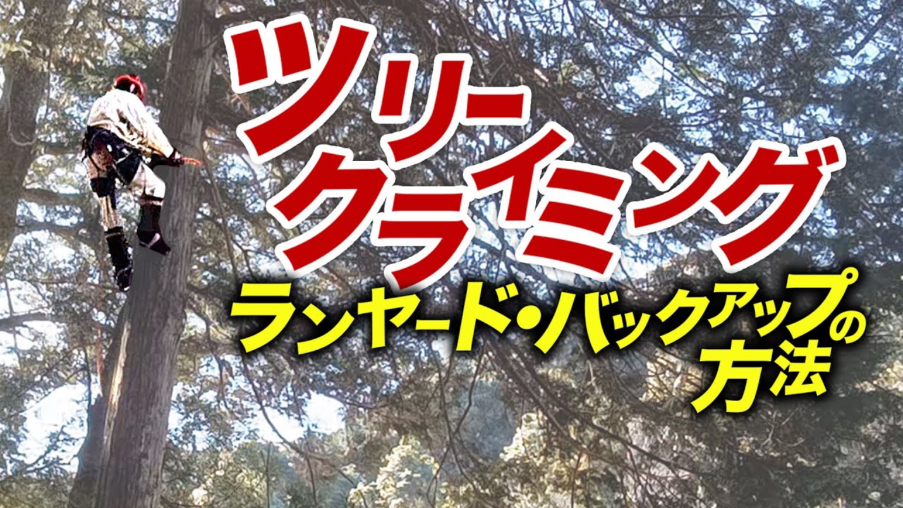 ランヤードは滑り落ちる？木登りして枝打ち。スパイククライミング