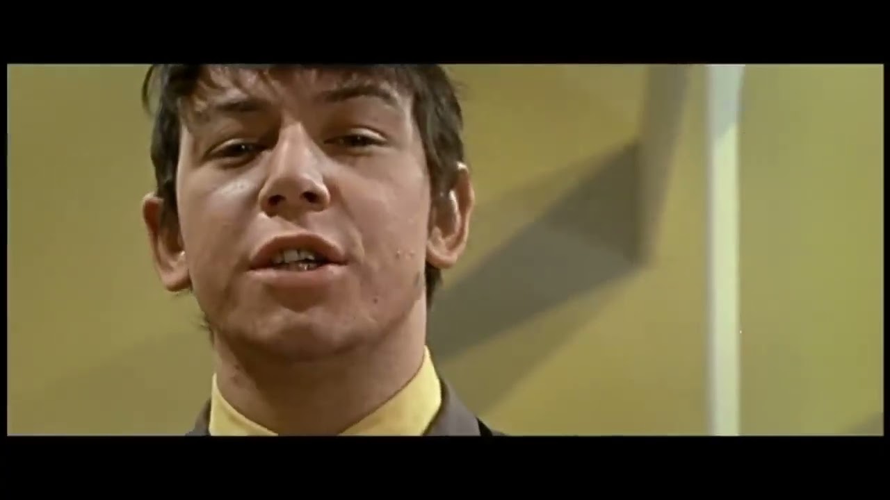 ‎【10 Hours】‎The Animals - House of the Rising Sun (1964)