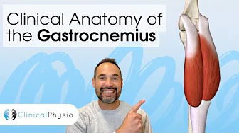 Clinical Anatomy of the Gastrocnemius | Expert Physio Guides you through 3D Anatomy Tutorial!