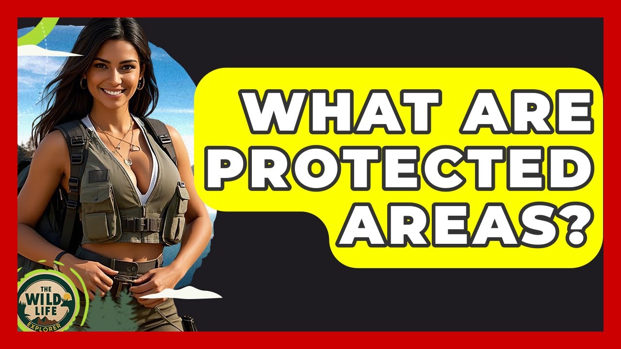 What Are Protected Areas? - The Wild Life Explorer