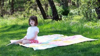 3 Hour Picnic Quilt from 12 FQs