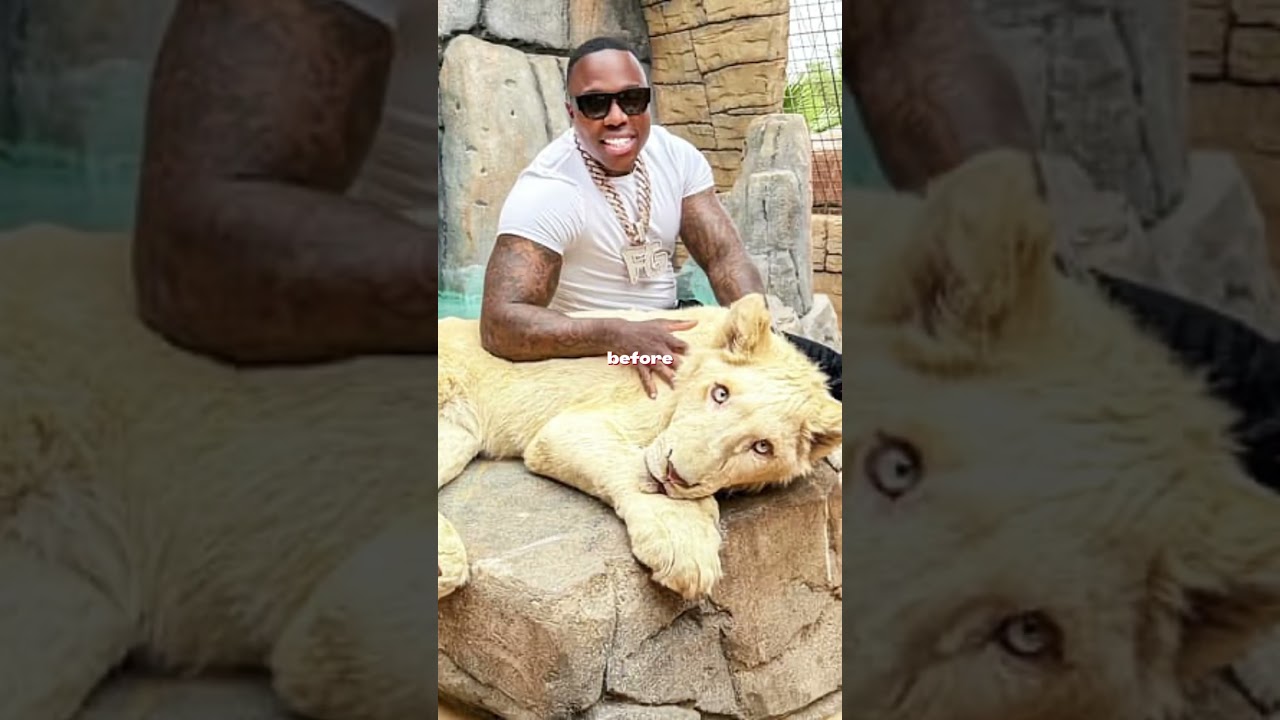 Craziest Expensive And Weird Things Rappers Own!!!